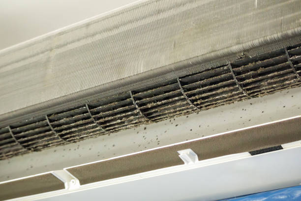 Best Industrial Air Duct Cleaning in Tatamy, PA